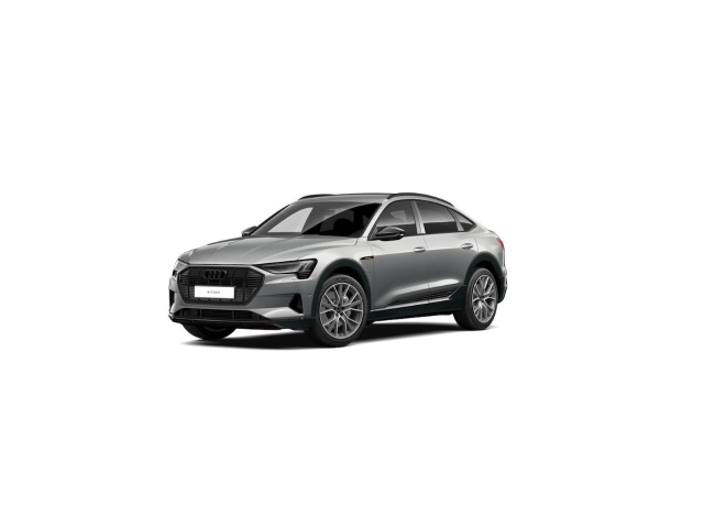 Audi e-tron occasion