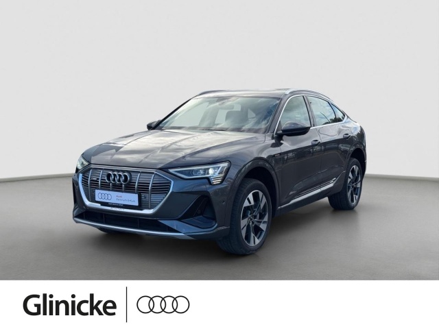 Audi e-tron occasion