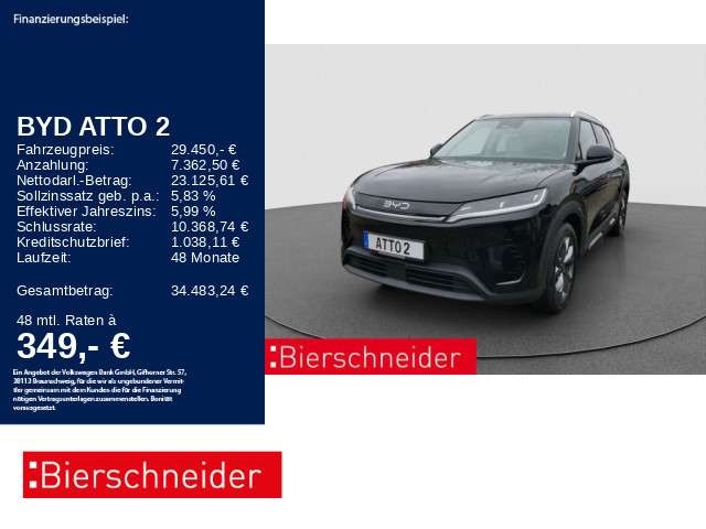 BYD Sonstige