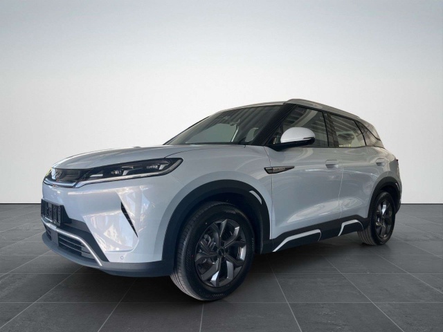 BYD Atto 2