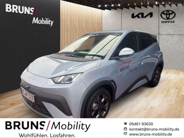 BYD Dolphin Surf