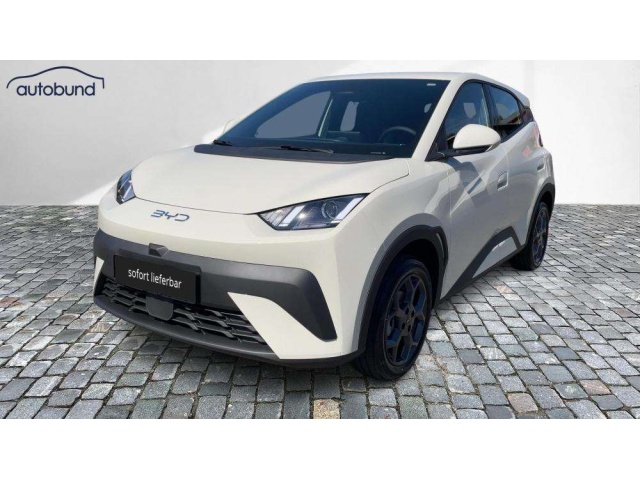 BYD Dolphin Surf