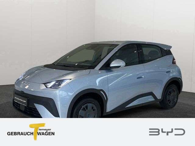 BYD Dolphin Surf