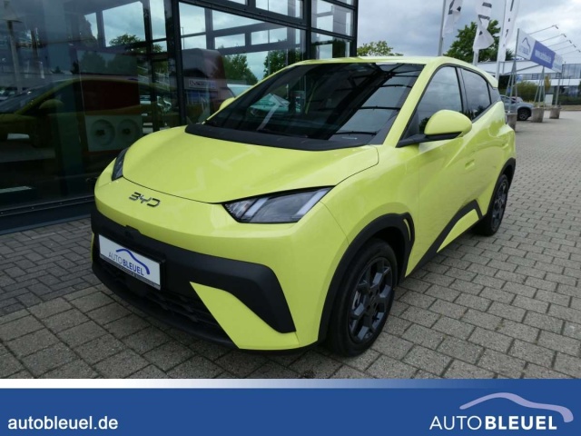 BYD Dolphin Surf