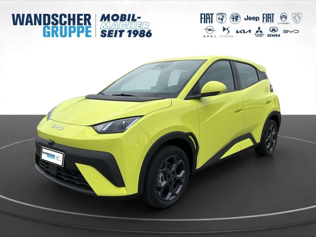 BYD Dolphin Surf