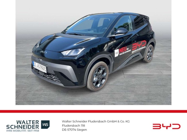 BYD Dolphin Surf