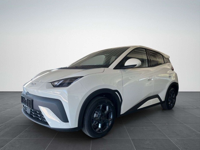 BYD Dolphin Surf