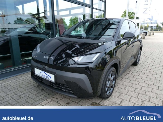 BYD Dolphin Surf