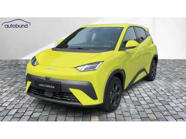 BYD Dolphin Surf