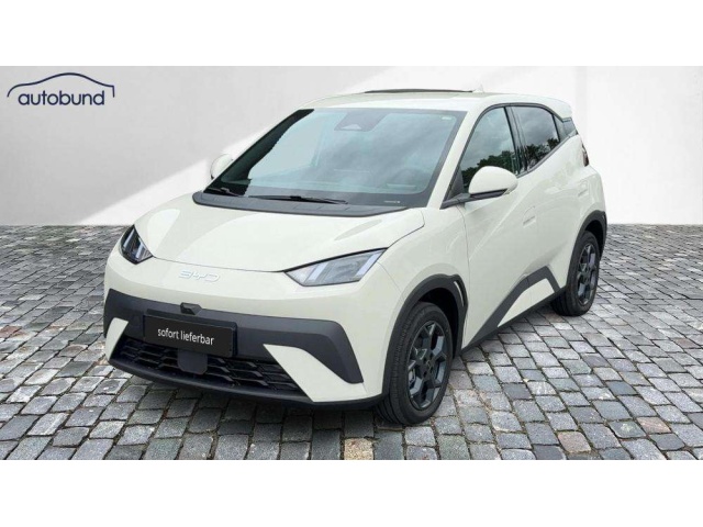 BYD Dolphin Surf
