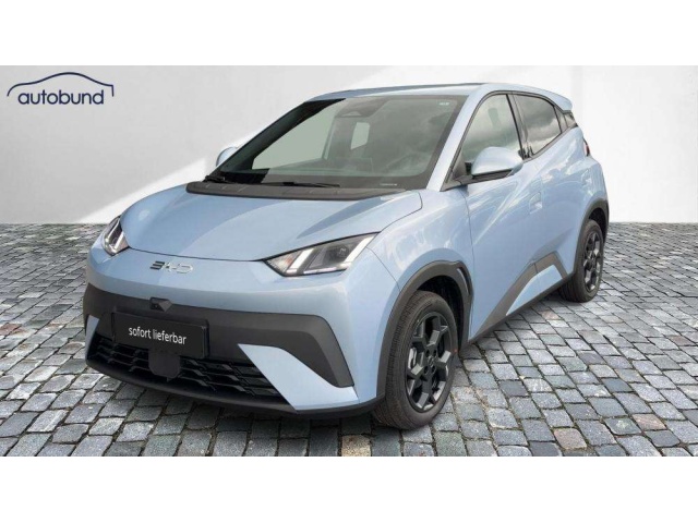 BYD Dolphin Surf