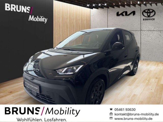 BYD Dolphin Surf