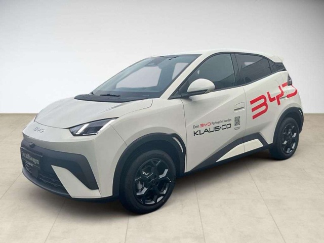 BYD Dolphin Surf