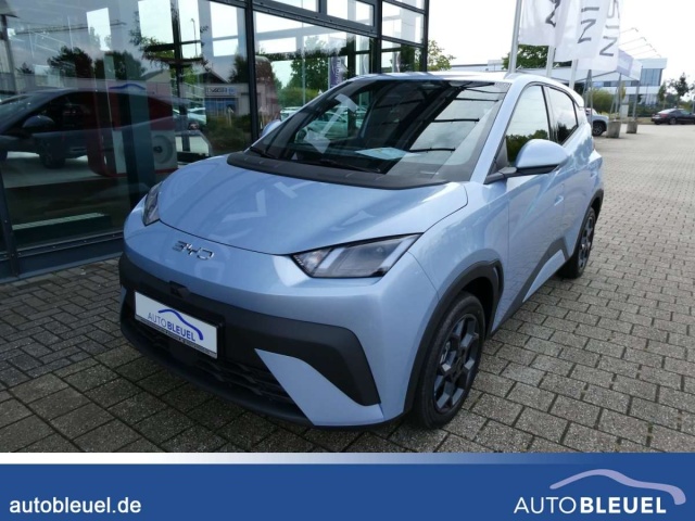 BYD Dolphin Surf