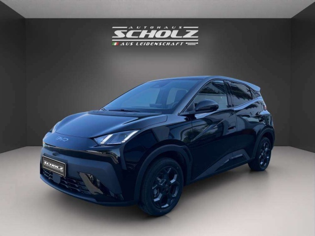 BYD Dolphin Surf