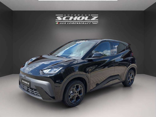 BYD Dolphin Surf