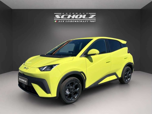 BYD Dolphin Surf occasion