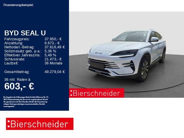 BYD Sonstige