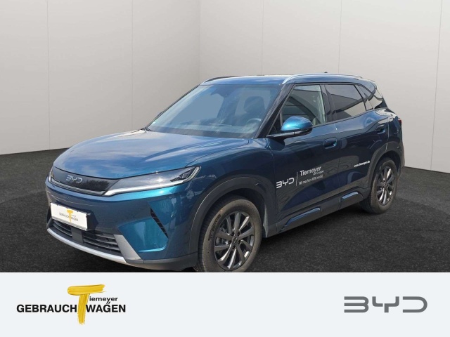 BYD Sonstige