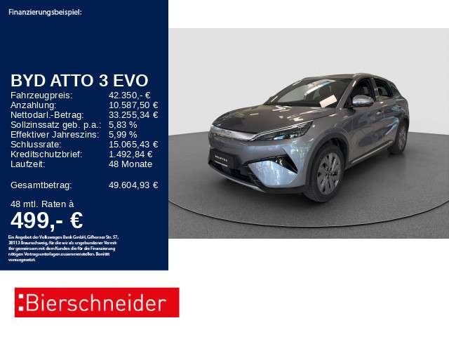 BYD Sonstige