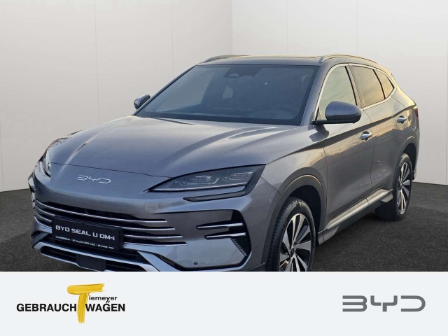 BYD Sonstige