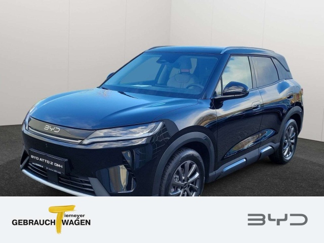 BYD Sonstige