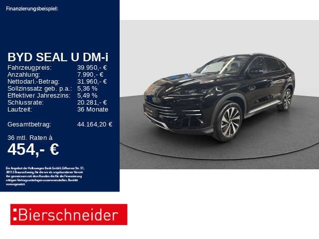BYD Sonstige