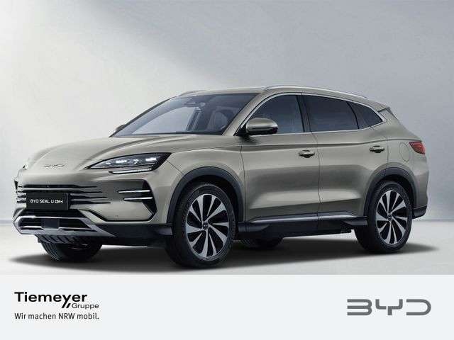 BYD Sonstige