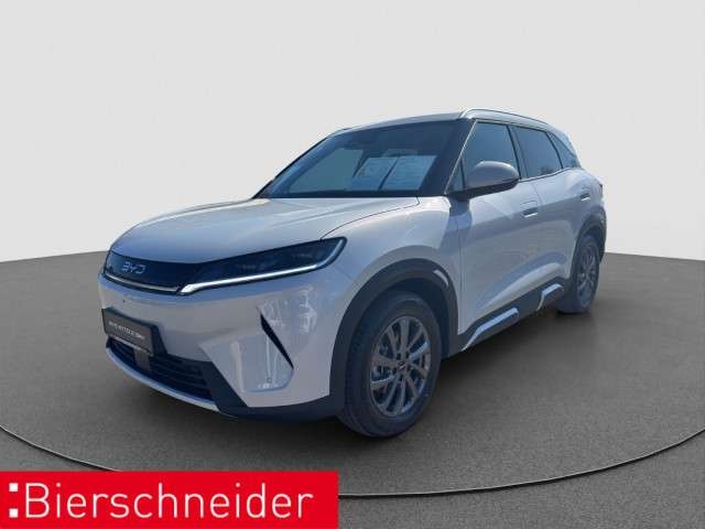BYD Sonstige