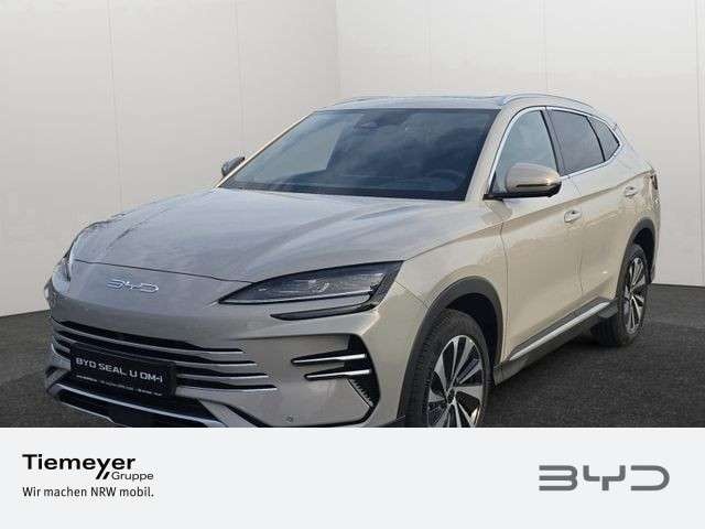 BYD Sonstige