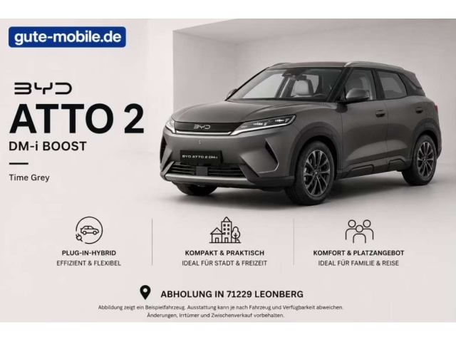 BYD Sonstige
