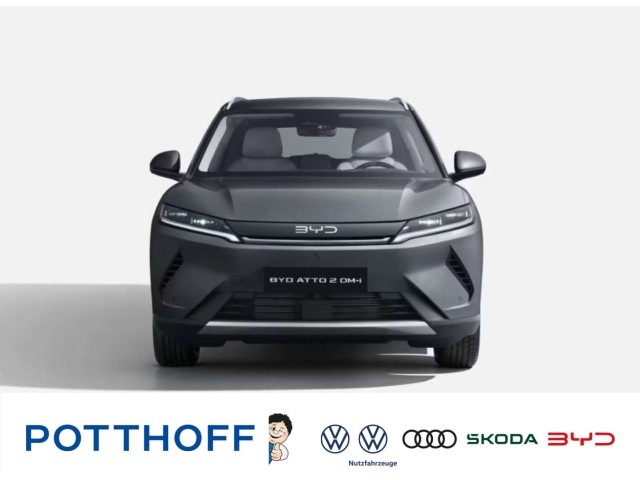BYD Sonstige