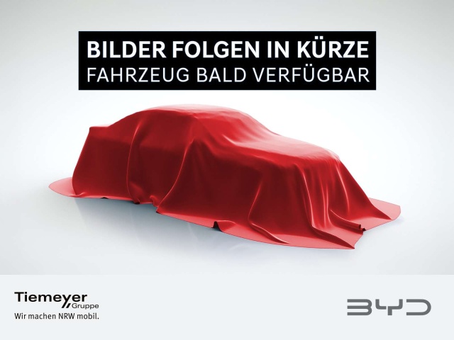 BYD Sonstige