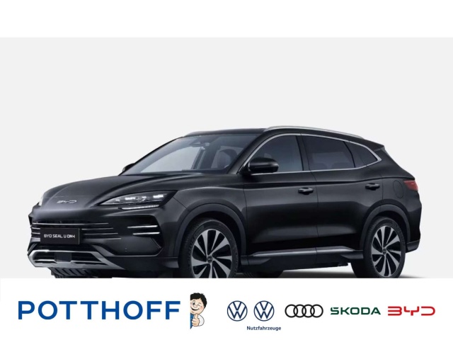 BYD Sonstige