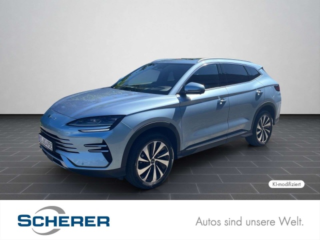 BYD Sonstige