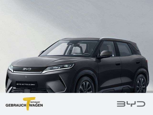 BYD Sonstige