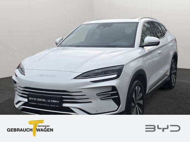 BYD Sonstige