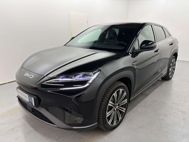 BYD Sonstige