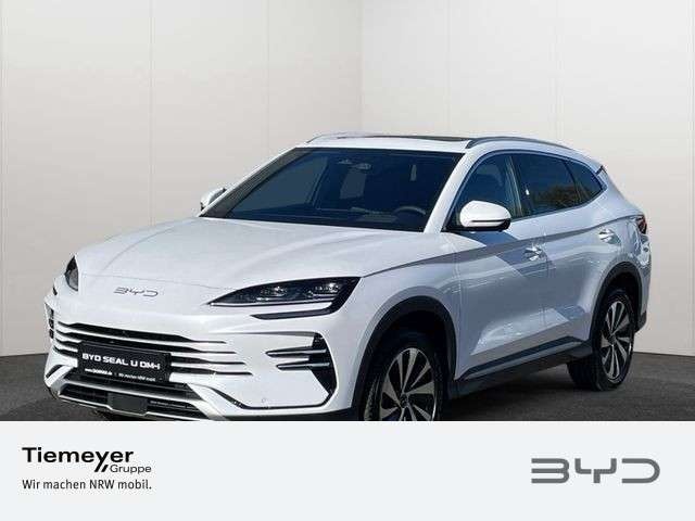 BYD Sonstige