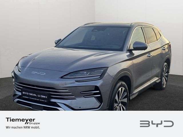 BYD Sonstige