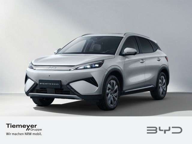 BYD Sonstige