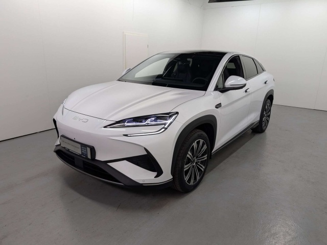 BYD Sonstige