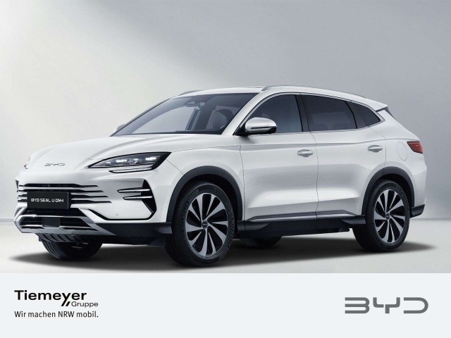 BYD Sonstige