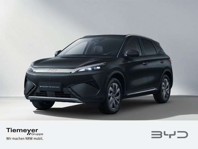 BYD Sonstige