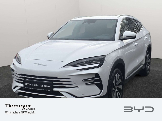 BYD Sonstige
