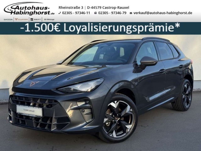 Cupra Terramar