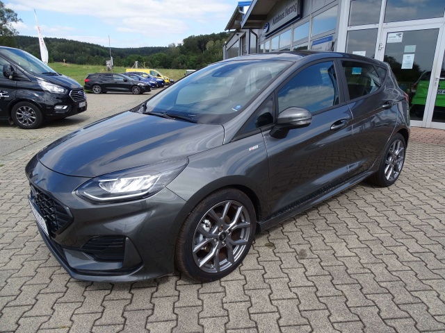 Ford Fiesta occasion