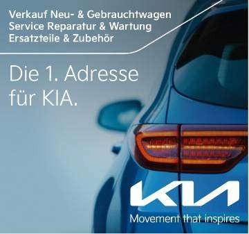 Kia Niro occasion