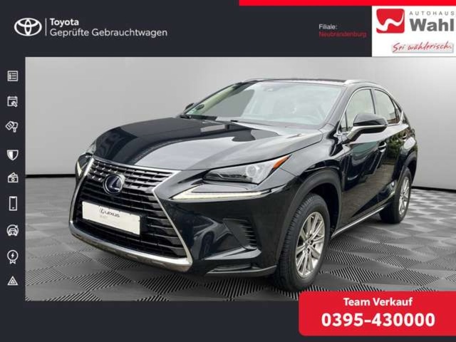 Lexus NX-Serie