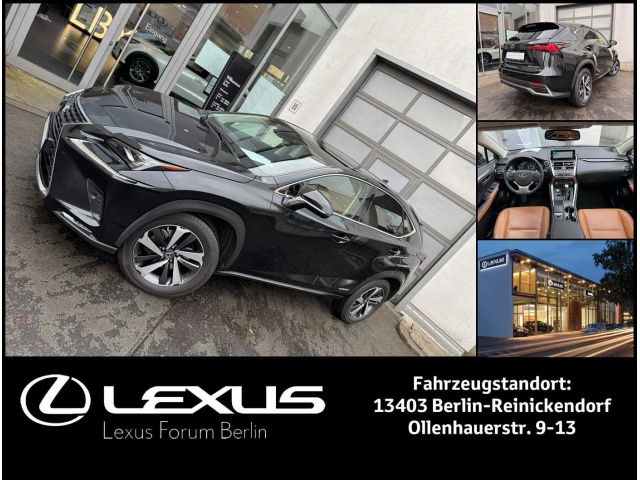 Lexus NX-Serie